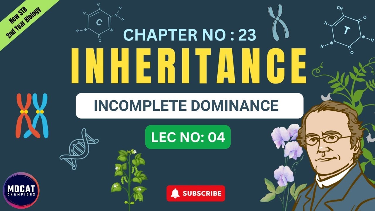 incomplete dominance | inheritance | class 12 biology | chapter 23 | Sindh board New book