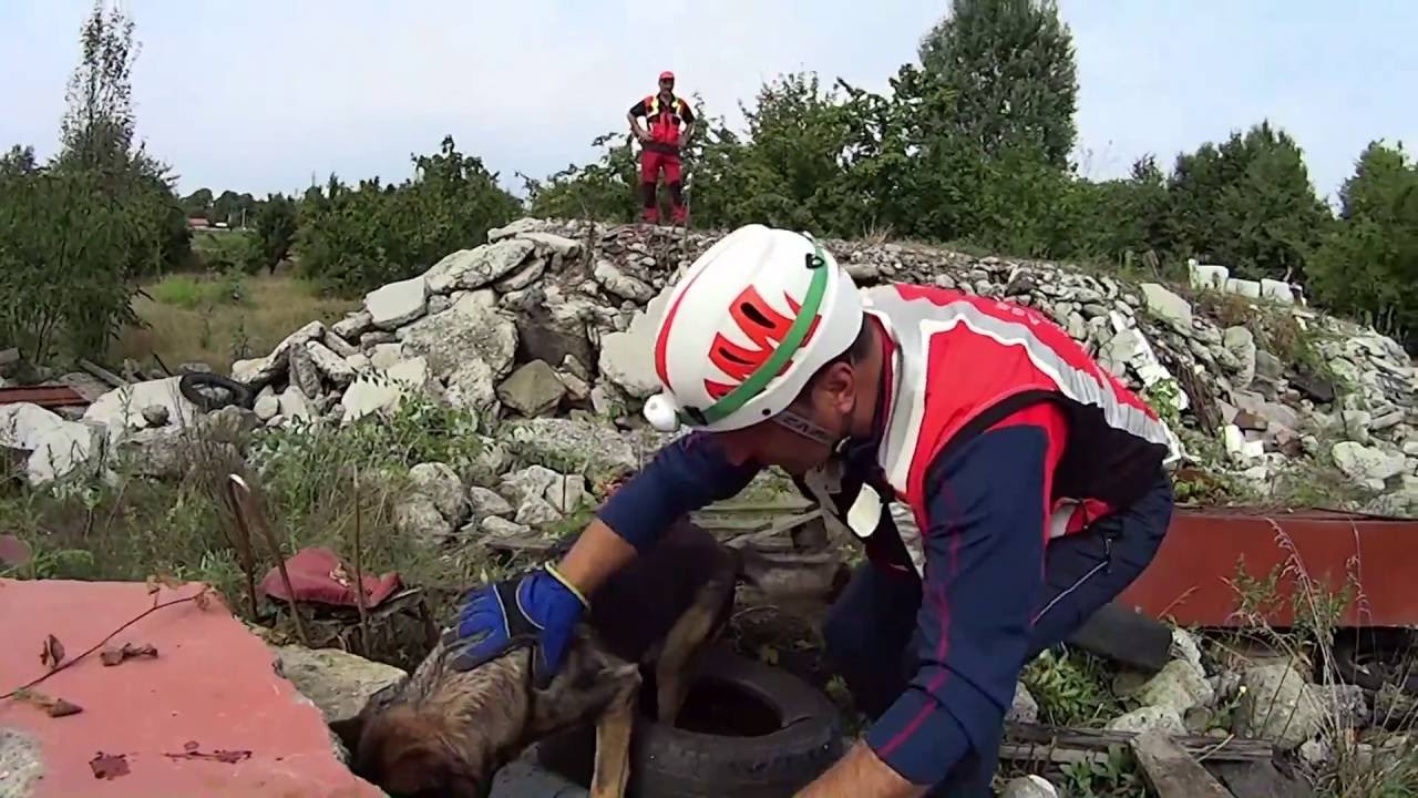 Da Settimo ad Amatrice, ecco dove si addestrano i cani da soccorso