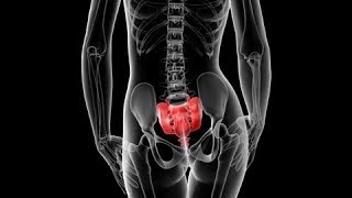 Hip Therapy Pain Relief Massage Rx Los Angeles