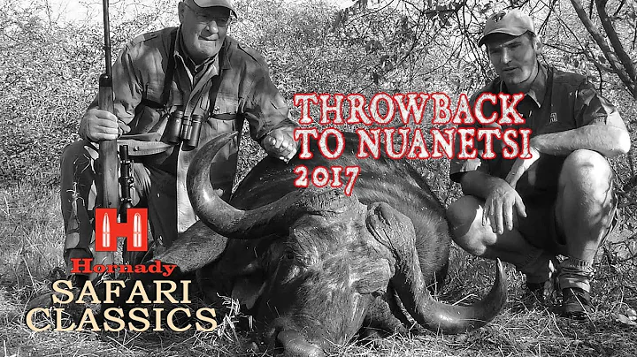 FULL SAFARI | Leopard & Cape Buffalo in Nuanetsi (2017) | PH Mark Vallaro & Bubba Boeer