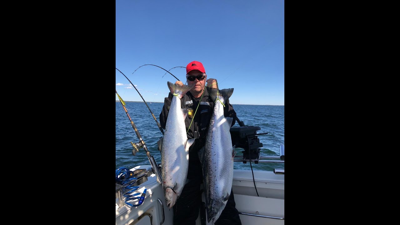 Ahvenanmeren Lohi. Toukokuu 2019