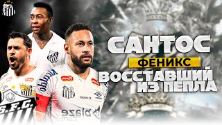 картинка: Сантос | Путь от Величия к Драматичному Краху