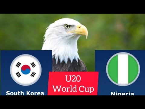 South Korea vs Nigeria Prediction - U20 World Cup 2023 - Super Eagle ...