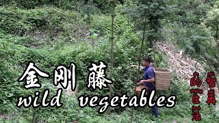 春天进山摘野菜，一种很硬的野菜“金刚藤”，但它的嫩芽很香。Picking wild vegetables in spring, Jingang vine makes Chinese food