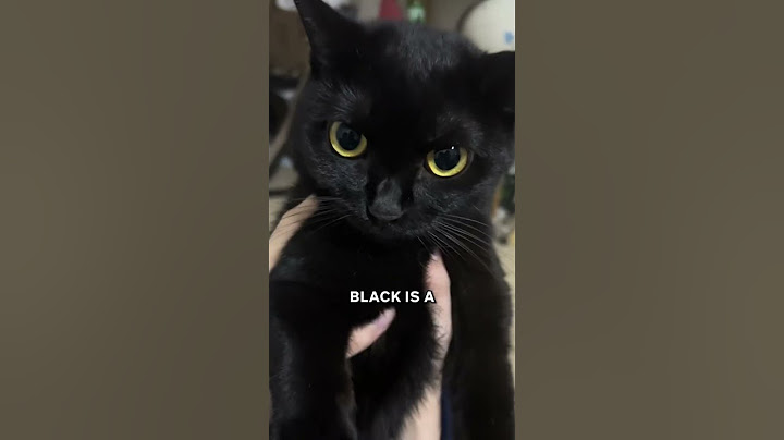 Adevărul despre pisicile negre! 🐱✨