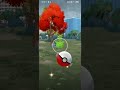 Pokemon go hoppip shiny #pokemonchannel #pokemon #shinypokemon #mobilegame