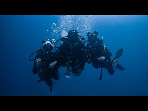 Philippine Dive Log  DSD  Leyte