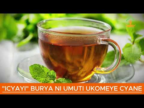 "ICYAYI" BURYA NI UMUTI UKOMEYE CYANE // URAKUNDA ICYAYI KURUSHAHO NUMARA KUMVA IBYIZA BYACYO