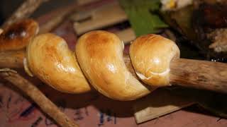 Twist bread | Wikipedia audio article