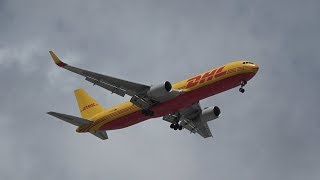 Tasman Cargo Airlines Wikivisually - making a roblox airline episode 18 livery design for the