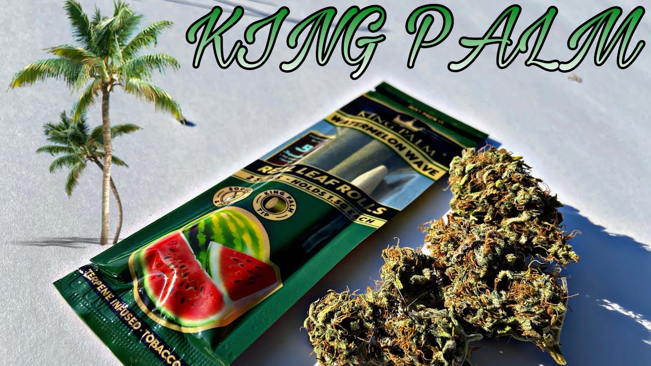 KING PALM WATERMELON WAVE REVIEW!!!🥵💨 YouTube