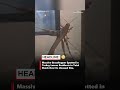 Giant Grasshopper Discovered in Turkey Shocks Residents 😱🦗 #viral #turkey #grasshopper