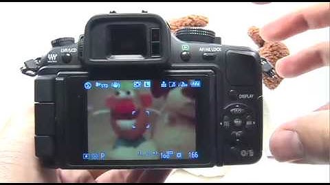 Panasonic G1/GH1: Format
