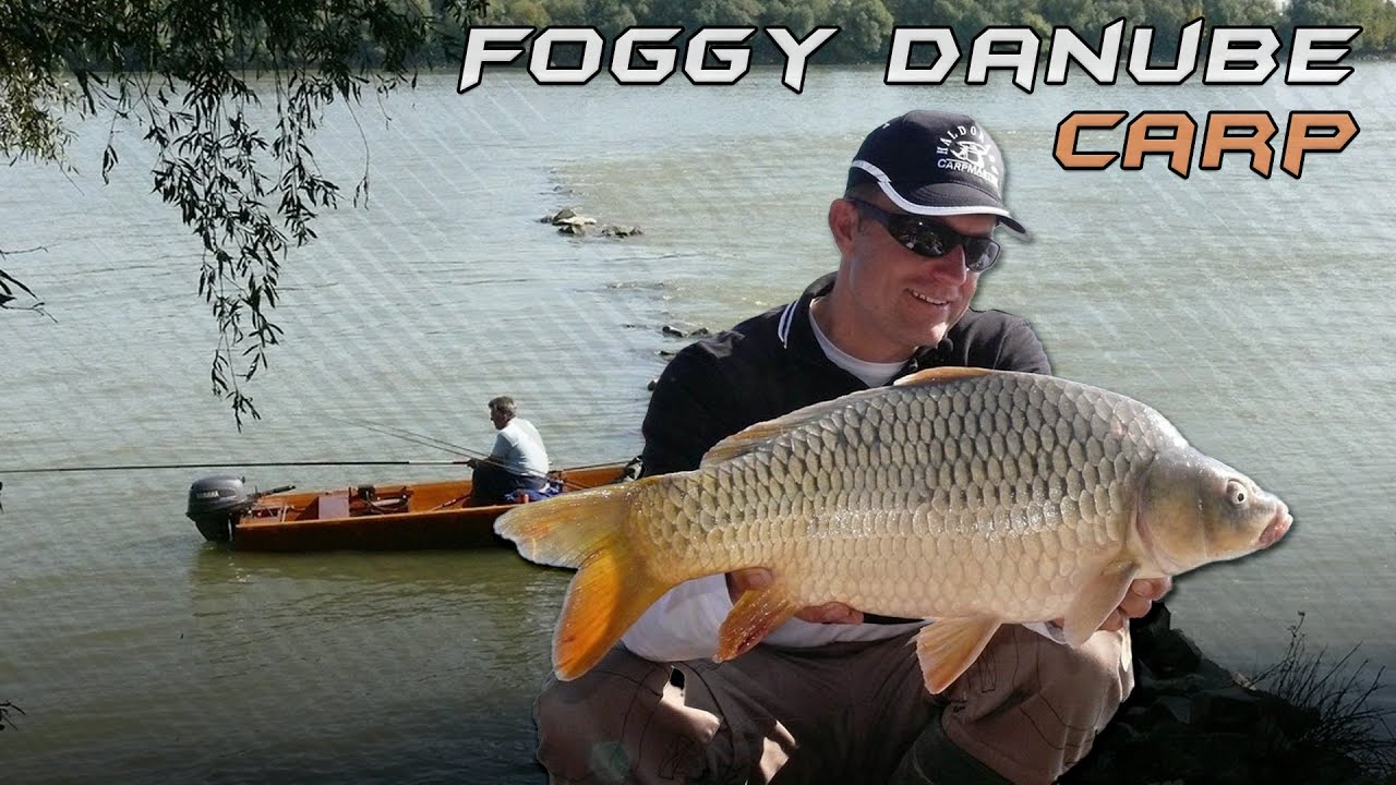 Döme Gábor - Ködös pontyhorgászat a Dunán