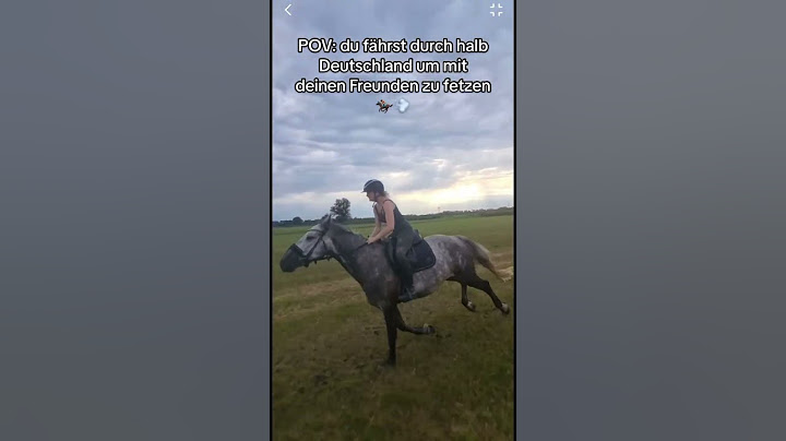 Lets fetz 🏇🏼💨 #equestrian #pferd #pony