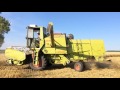 Claas Consul | Harvesting | Жнива | Уборка пшеницы комбайном