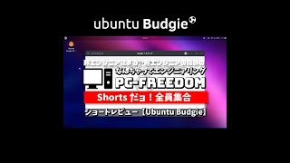 #Shorts Review【Ubuntu Budgie】シンプルさとエレガンスさに重点を置いたデザインの Ubuntu の公式フレーバー。