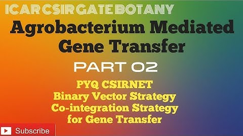 AGROBACTERIUM MEDIATED GENE TRANSFER PART 2 , PYQ and Gene Transfer Strategies