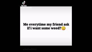 Are you stupid or something?? |Meme