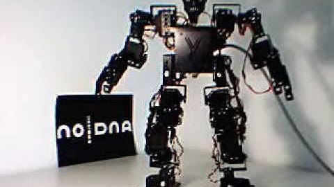 Biped Robot YDNA hopping