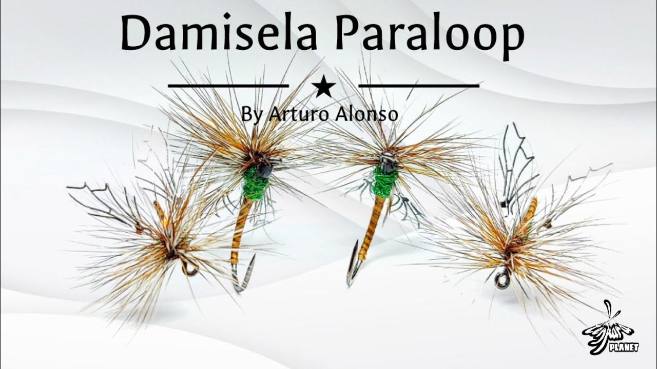 Montaje de moscas: efémera, la Damisela Paraloop.Sistema de paraloop innovador.