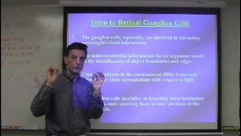 The Human Eye Part 2 Lecture By Nestor Matthews