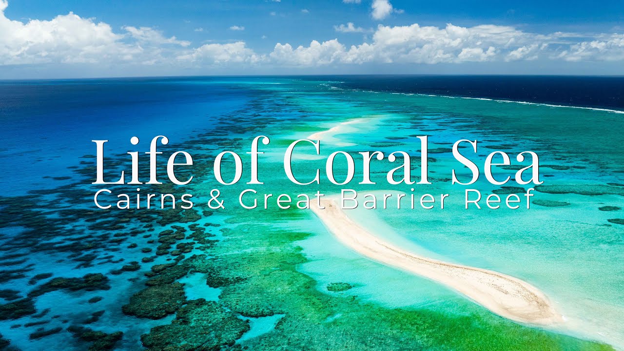 【Life of Coral Sea】Cairns & Great Barrier Reef