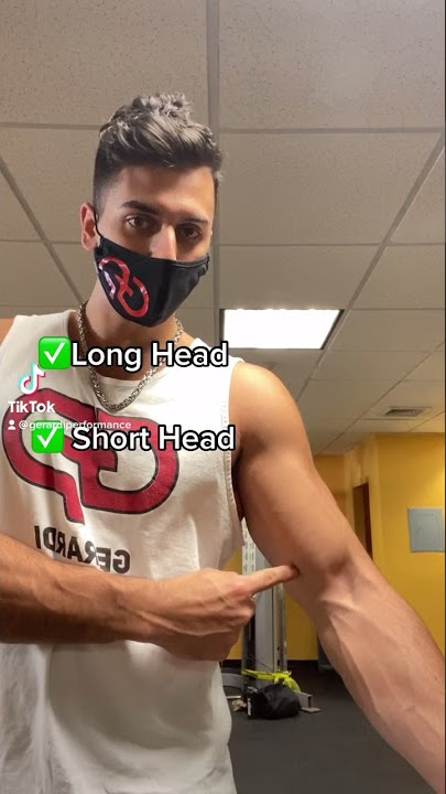How to PROPERLY Perform Concentration Curls (For A Bigger Biceps Peak!)