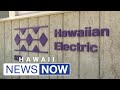 Hawaiian electric seeks federal trial amid dozens of maui wildfire lawsuits