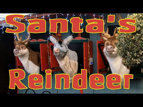 Santa's talking and singing Reindeer cheer 2022, Carlisle, Cumbria, UK.