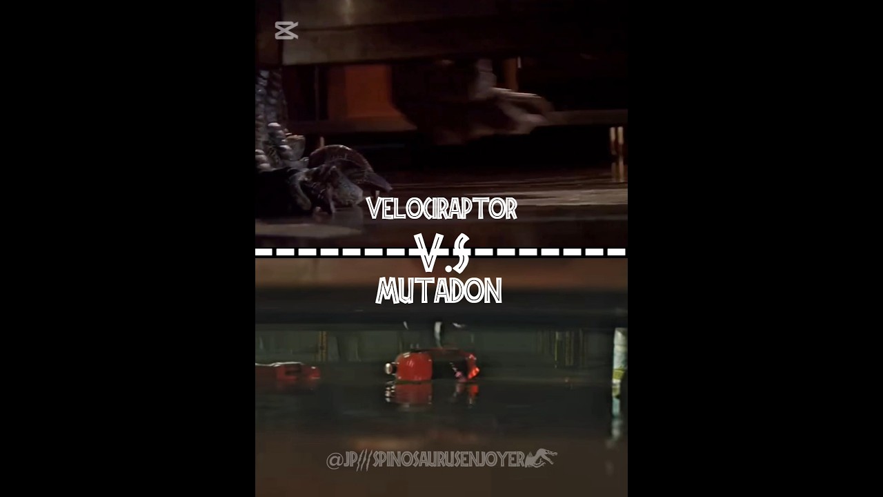 mutadon vs velociraptor 