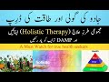 Holistic health  holistic therapy  damp sequence  dr abdul mughees
