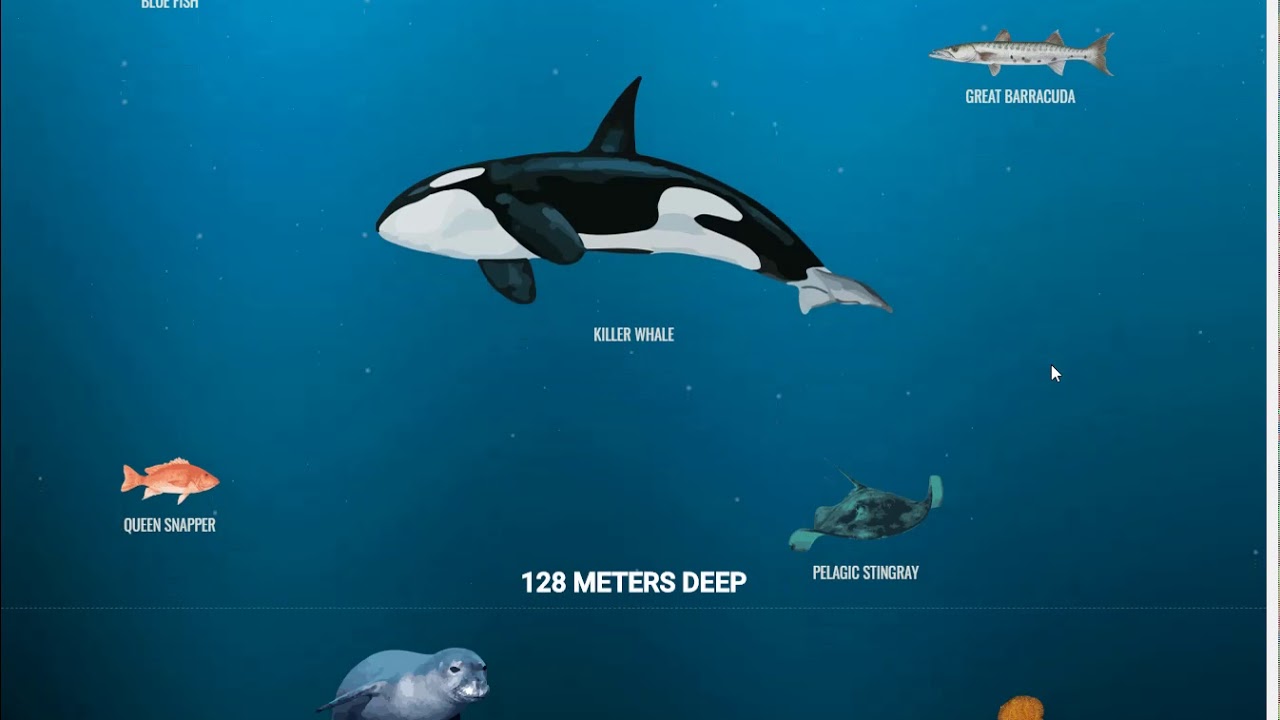 the deep sea