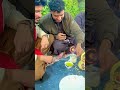 Shinwari Jongara | BaharVlogs