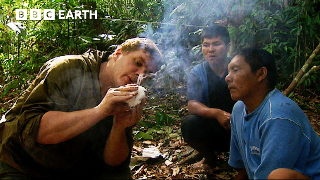 Play: Ray Mears in the Amazon: calm, real bushcraft and survival skill