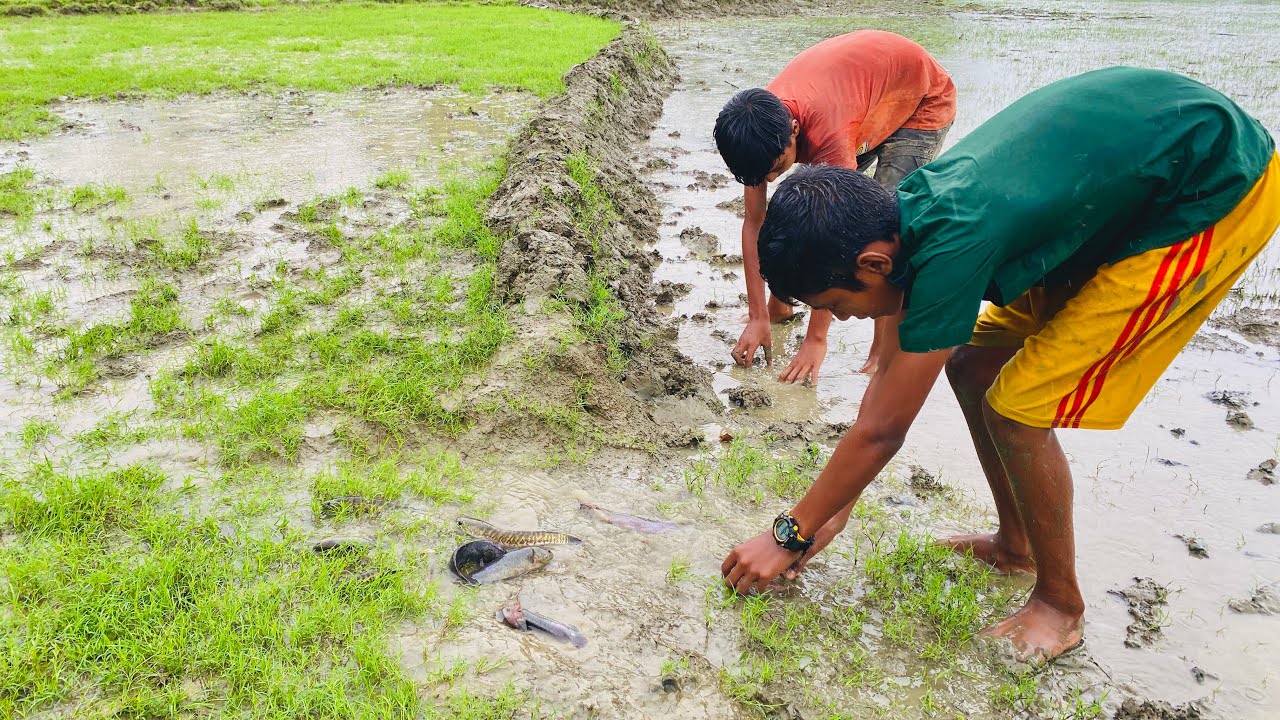 Watch how boys catch fish in the rain ✅🐟 Video of fishing in the rain Rain Fishing videos ✅ #fishing
