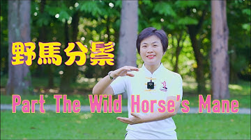 Part The Wild Horse