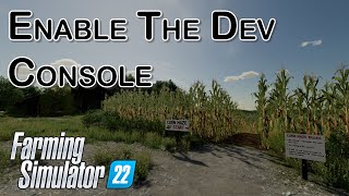 Enable Dev Console - A Farming Simulator 22 How To screenshot 2