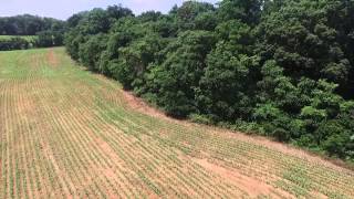Phantom 3 Pro- Near Crash - ESC Error