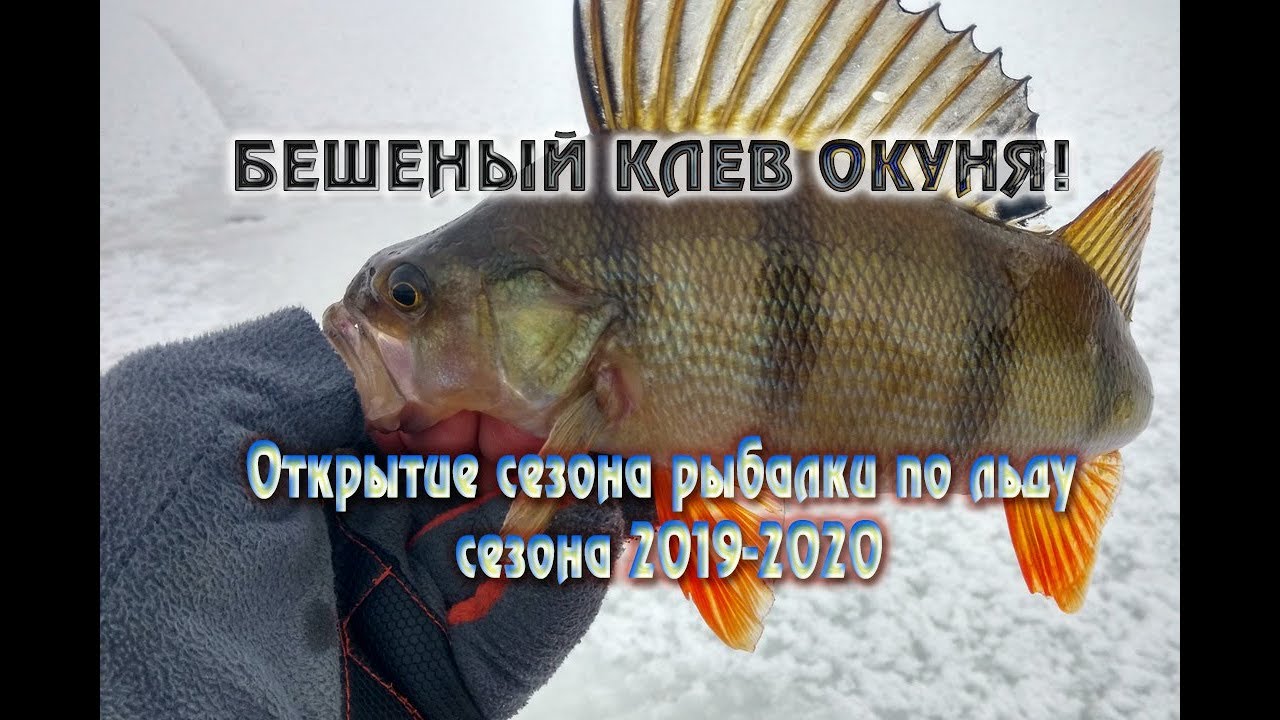 Ока прогноз клева