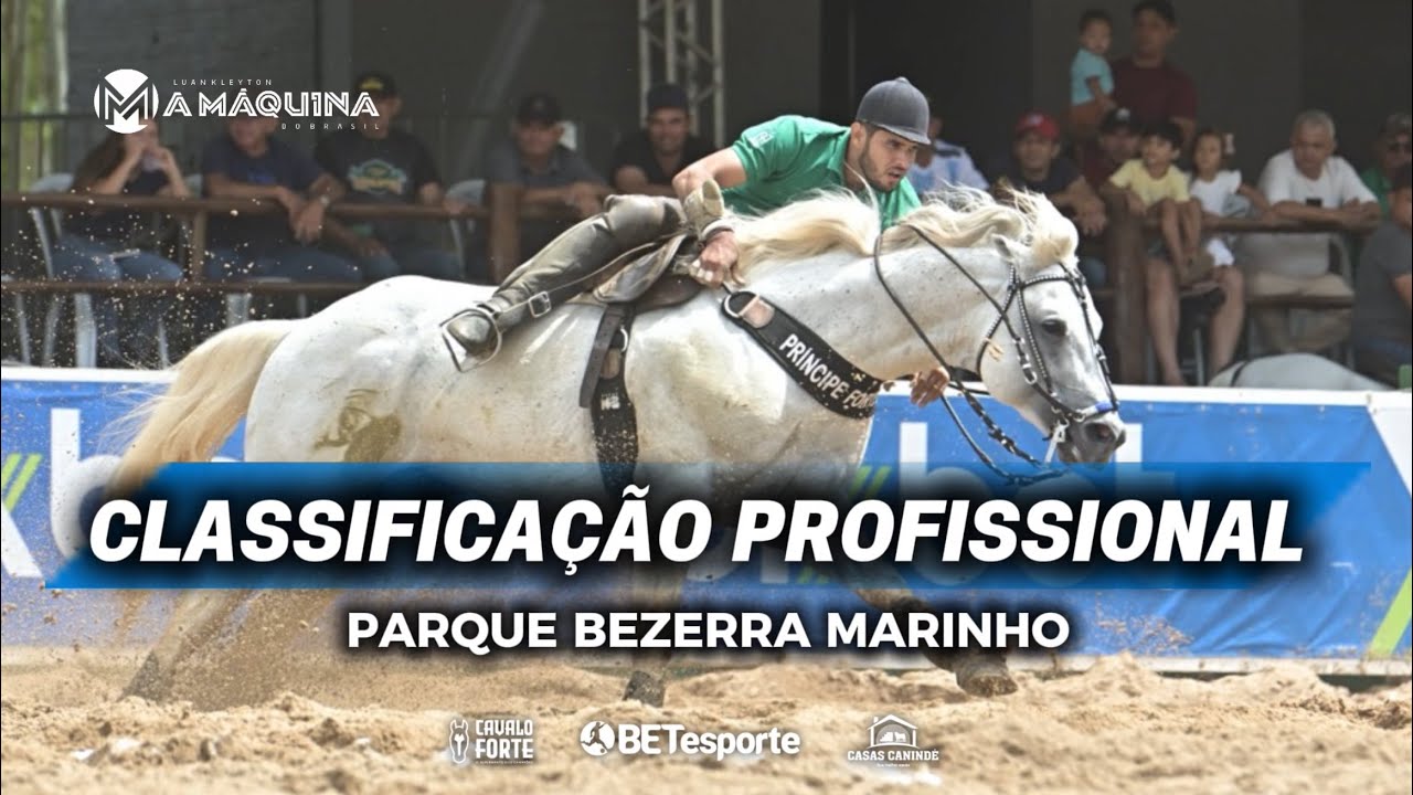 VAQUEJADA AO VIVO | CLASSIFICAÇÃO PROFISSIONAL PQ BEZERRA MARINHO 2025. 