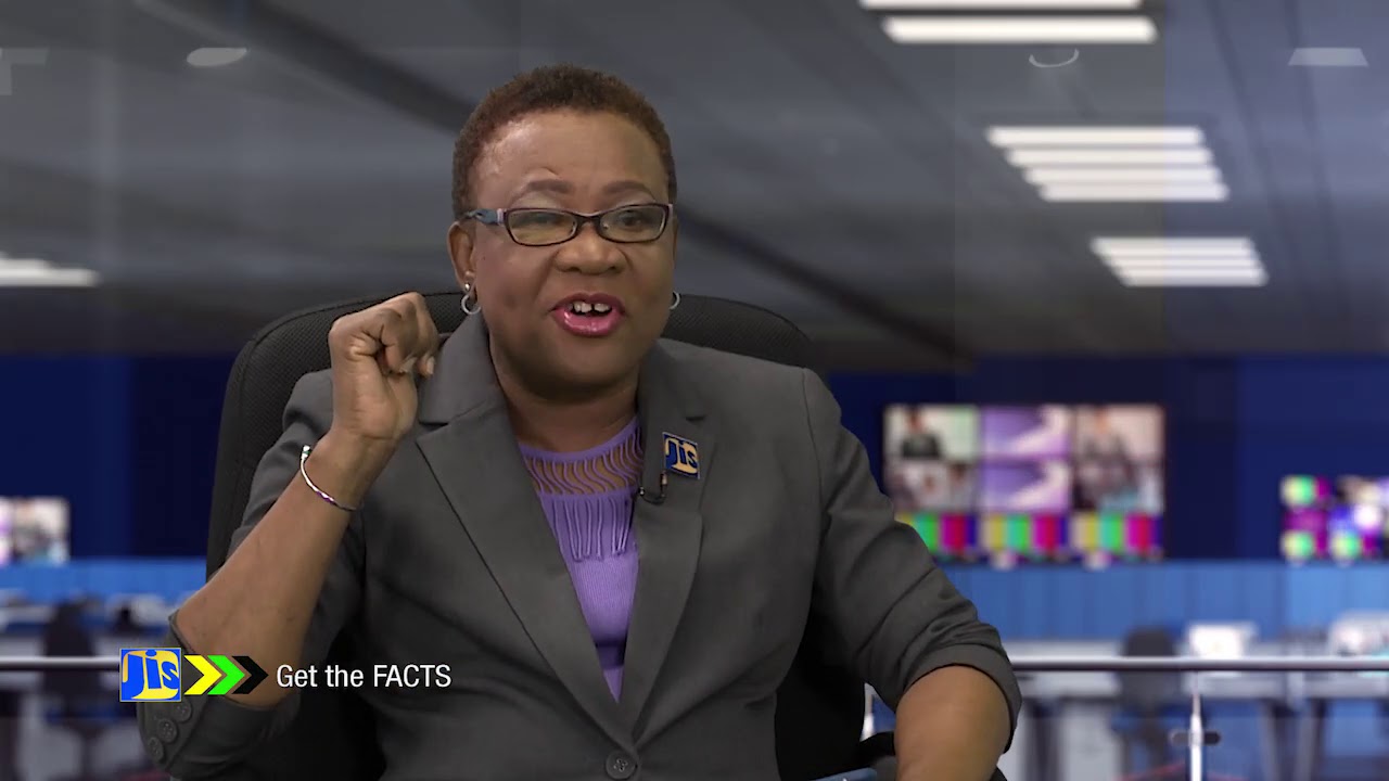 Jcpd Get the facts - Jamaica Council for persons with Disabilities 13/12 ...