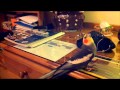 Male Cockatiel singing