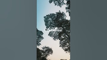 تلاوة خاشعة دعمكم مهم لنا🙏 #اكسبلور #راحة_نفسية #اكسبلورر #اكسبلور_explore #راحة #لايك #قرآن