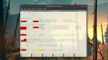 edit scalpel.conf file in linux