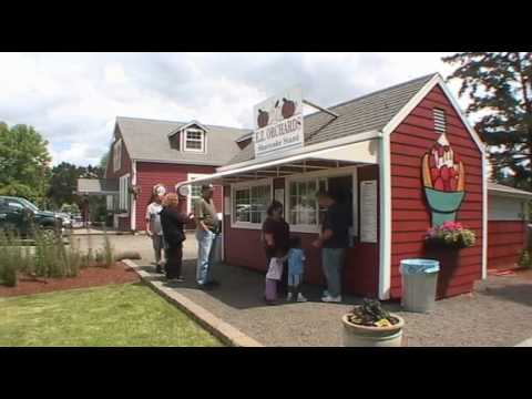 Summer's Bounty at EZ Orchards Farm Market