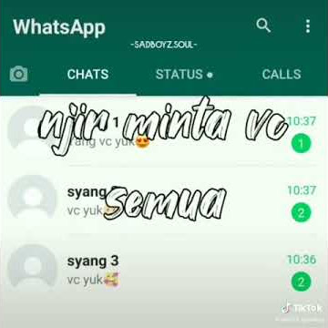 Story wa vc 3 cewe