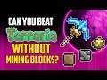 Can You Beat Terraria Without Mining Blocks? | HappyDays