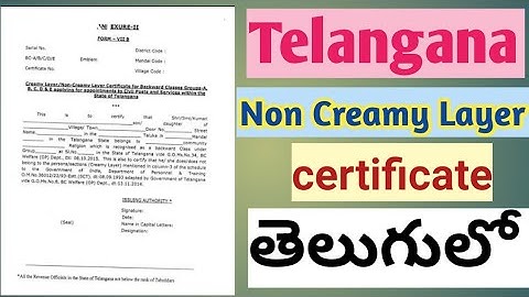 Non creamy layer certificate (Telangana) in Telugu || how to get non creamy layer certificate