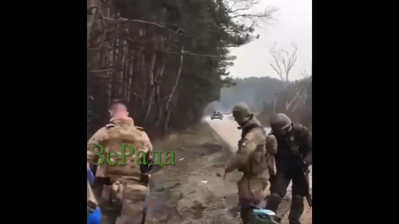 Суть хохла видео